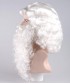 Professional Santa Claus Wig and Beard Set HX-001